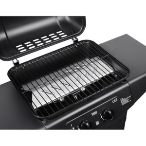 Grill 2 arzatoare gaz BBQ 2000 Teesa review